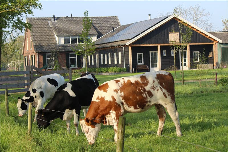 Nature house in Westendorp