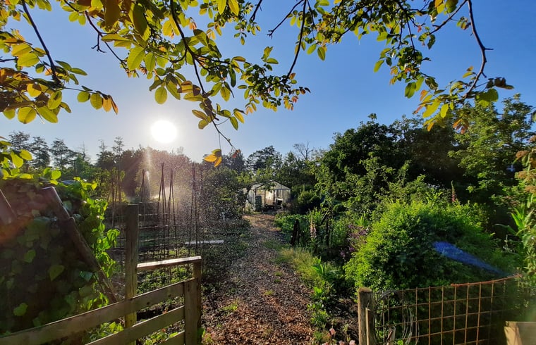 Natuurhuisje in Eenrum