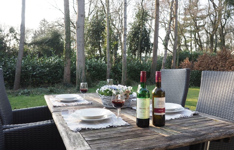 Vakantiehuis in Putten — foto 3