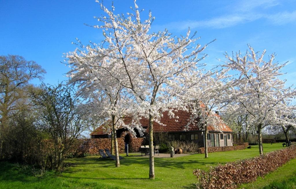 Maison nature à Harfsen