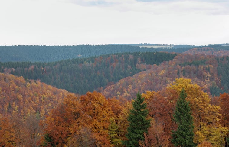 Naturhäuschen in Frauenwald: 30