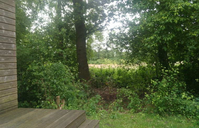 Chalet in Kollumerzwaag — foto 2