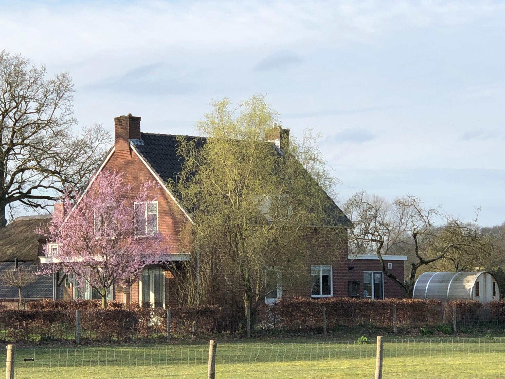 Nature house in Holten
