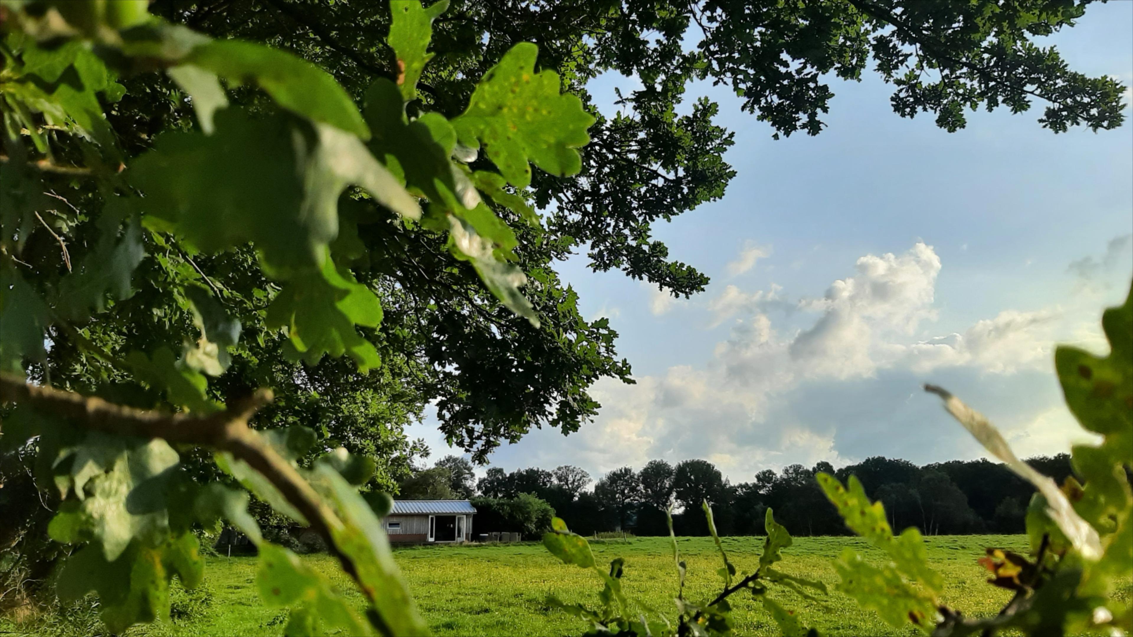 Nature house in Oosterwolde