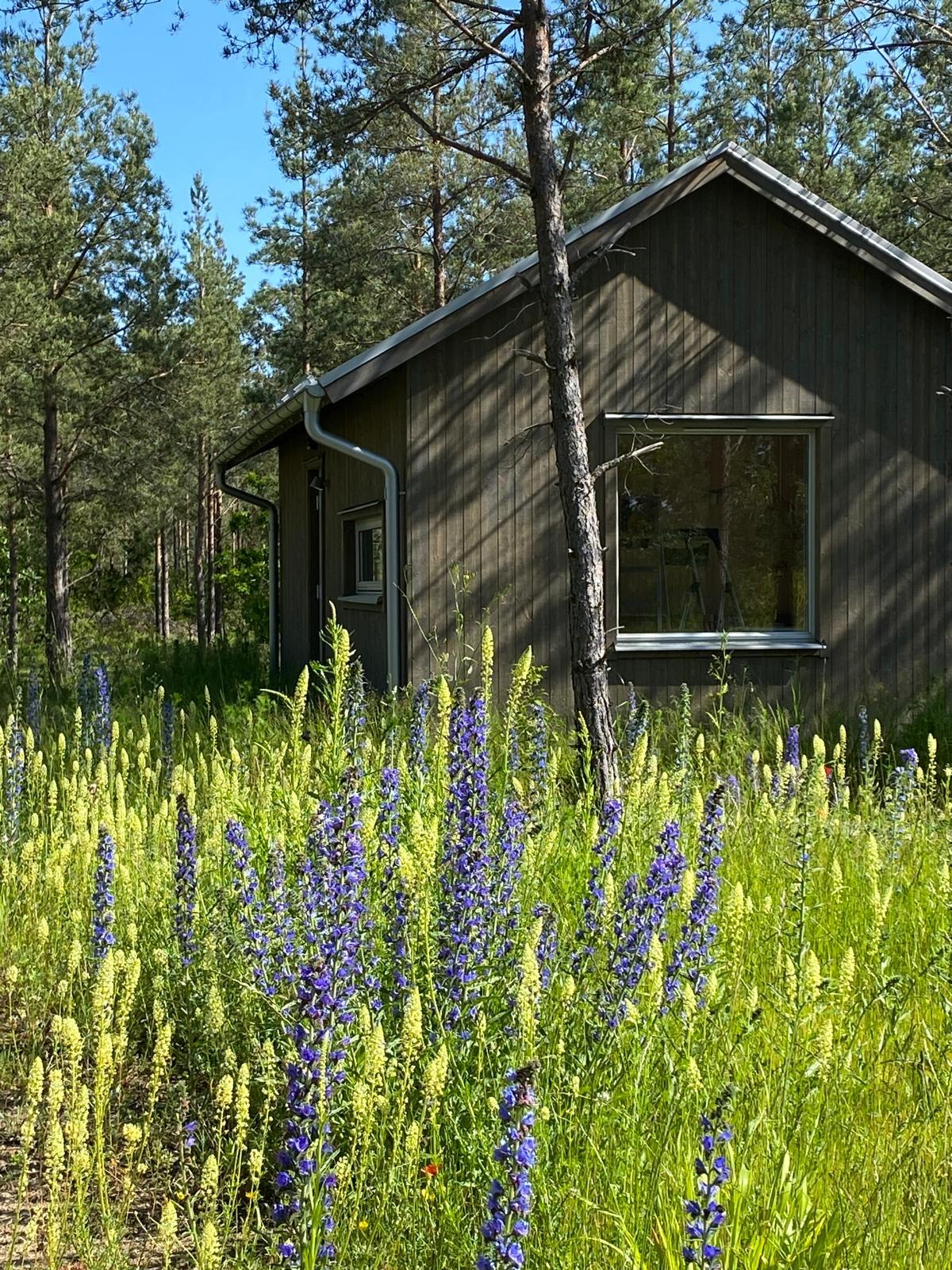Maison nature à Klintehamn