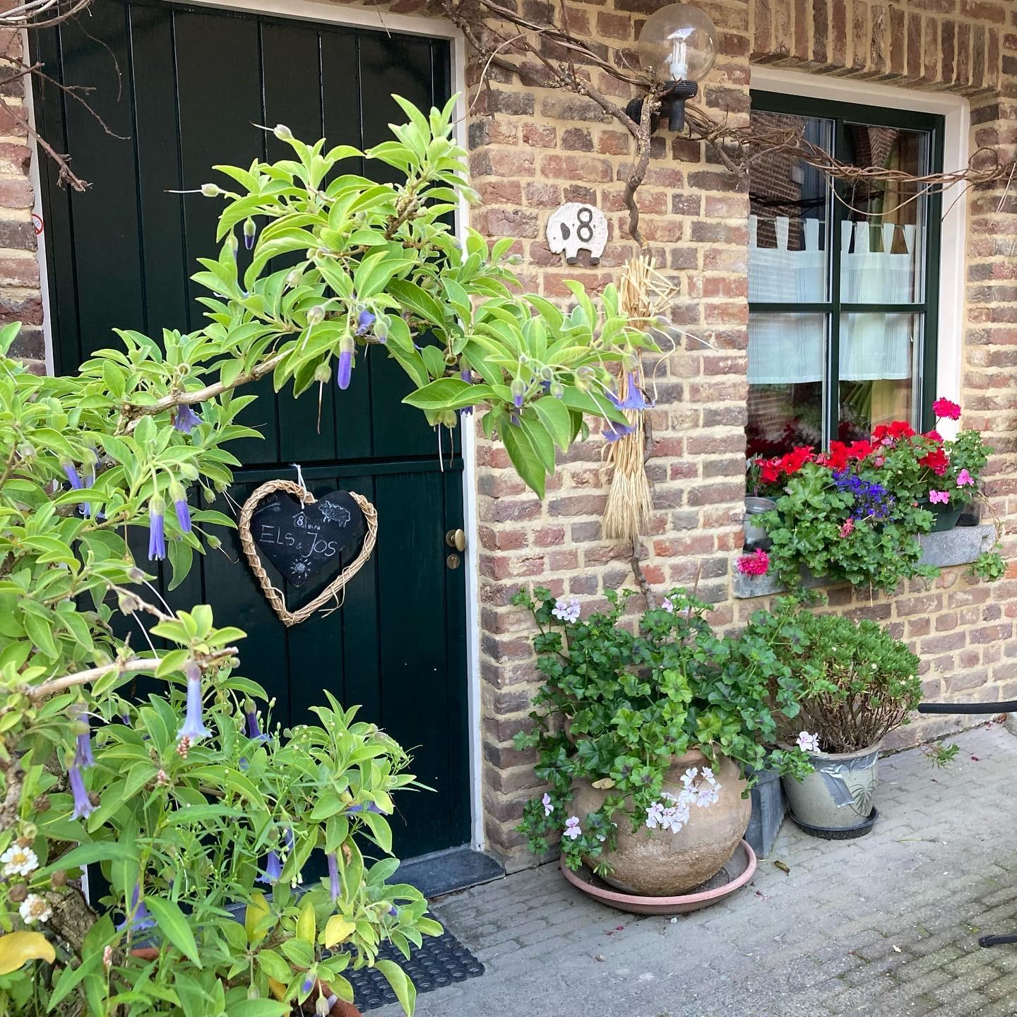 Maison nature à Wijlre