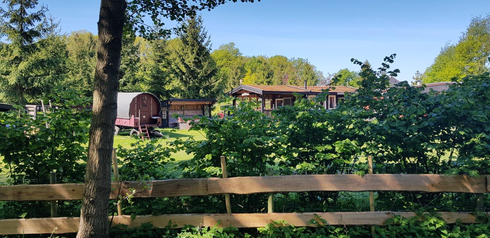 Nature house in de Lutte