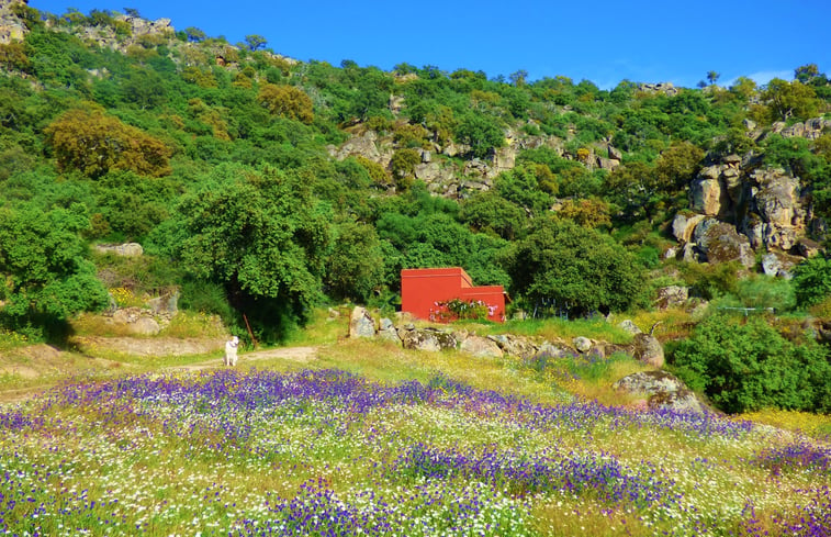 Natuurhuisje in Montanchez