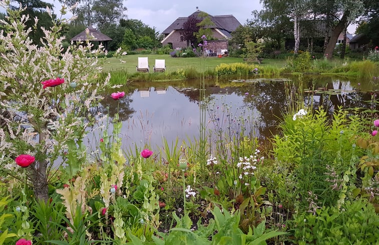 Natuurhuisje in Kring van Dorth