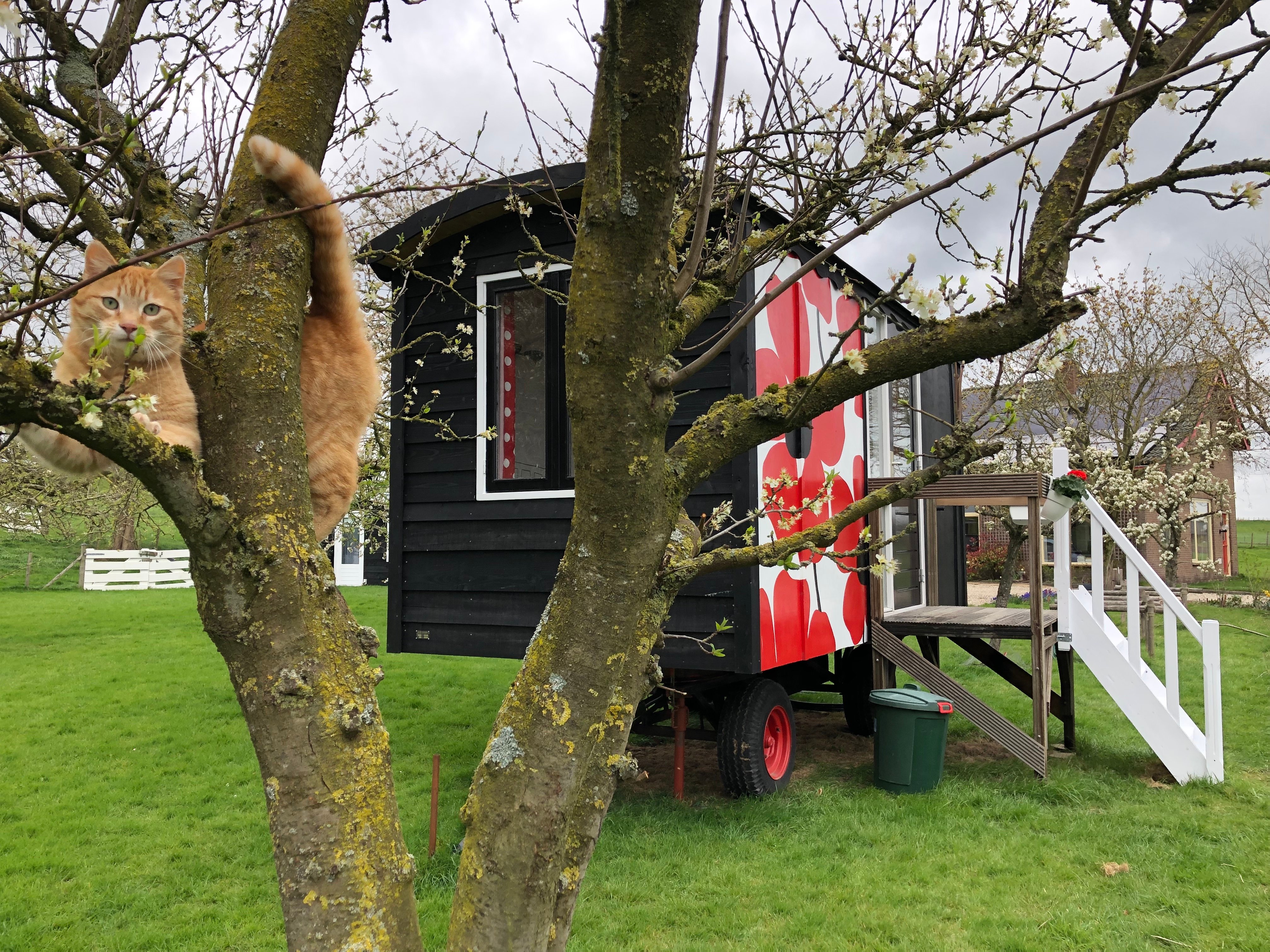 Natuurhuisje in Wijk bij Duurstede