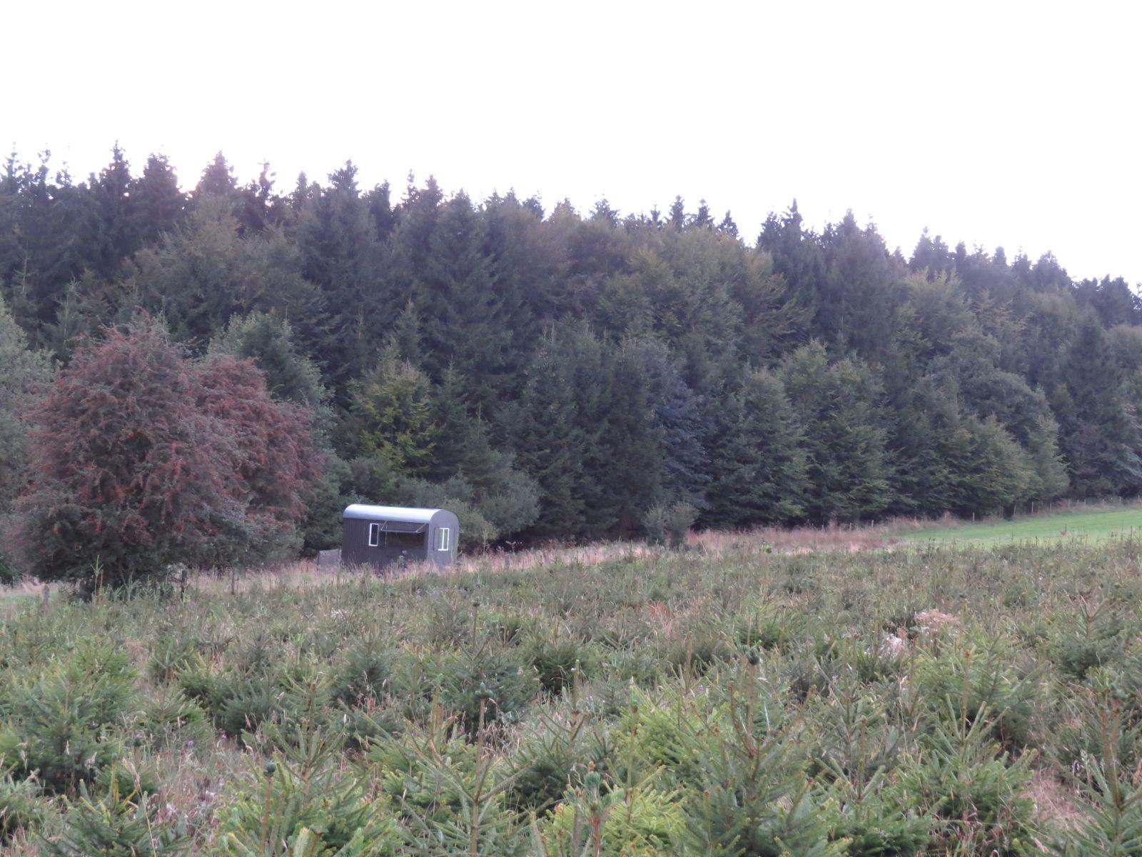 Nature house in Tailles