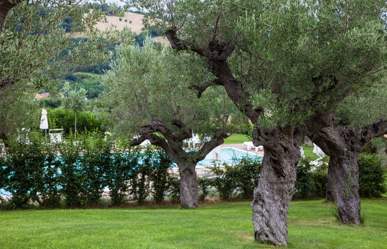 Vakantiehuis in Isola di Fano - Fossombrone — foto 2