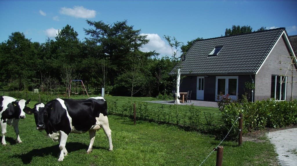 Nature house in Eesergroen
