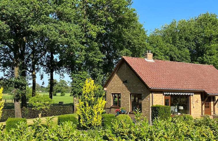 Naturhäuschen 71906 Ferienhaus in Stroe Naturhäuschen.de