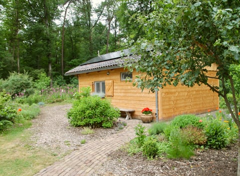 Nature house in Markelo: 16