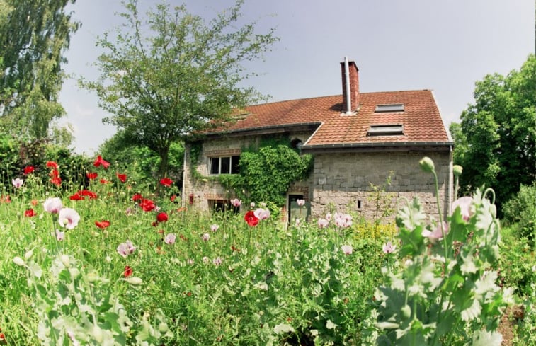 Natuurhuisje in Tohogne ( Durbuy )