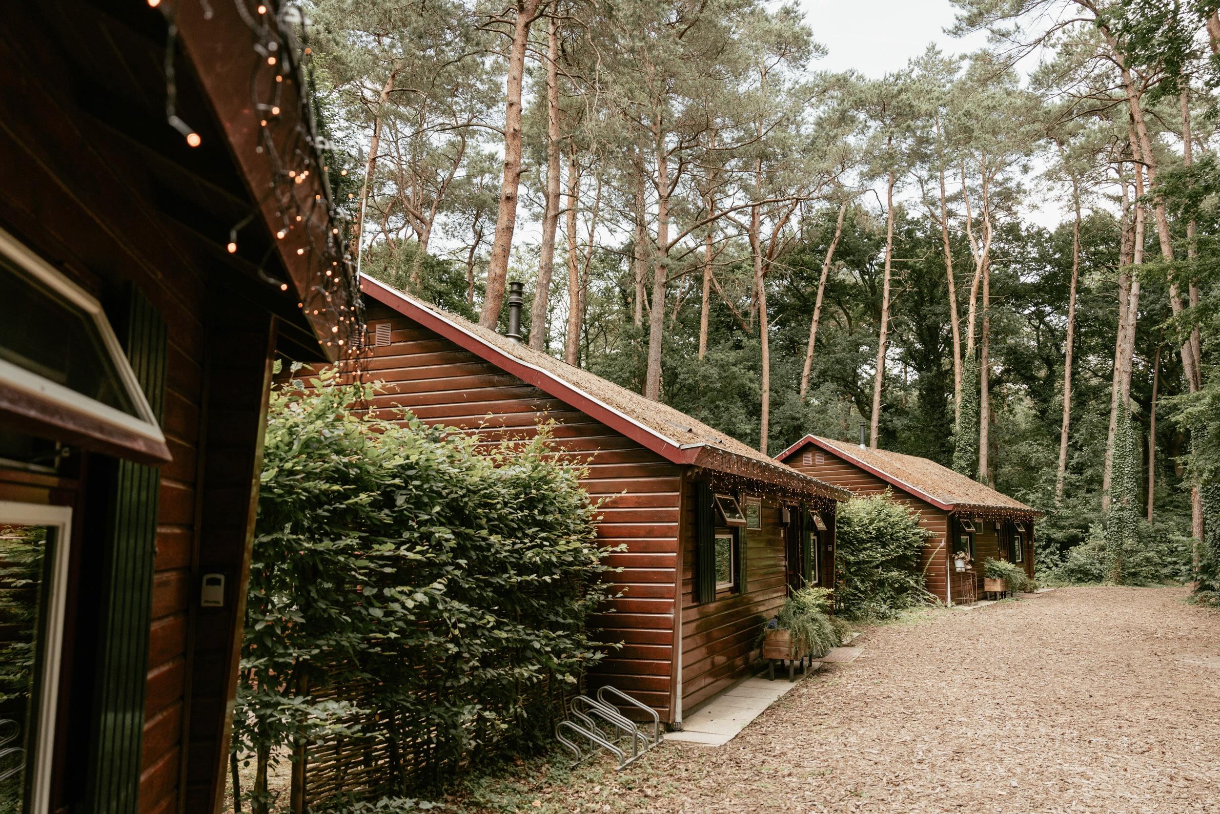 Nature house in Oisterwijk