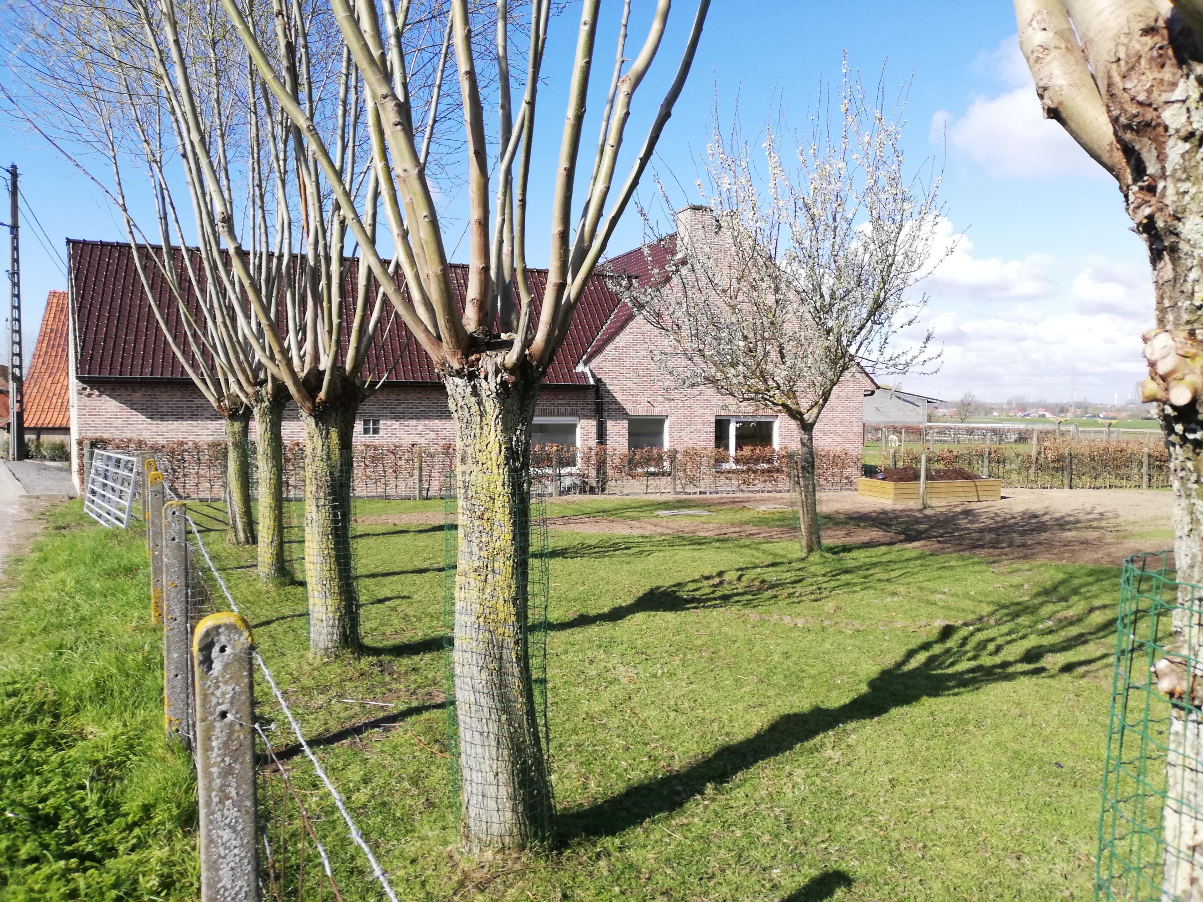 Maison nature à Ingooigem/Anzegem