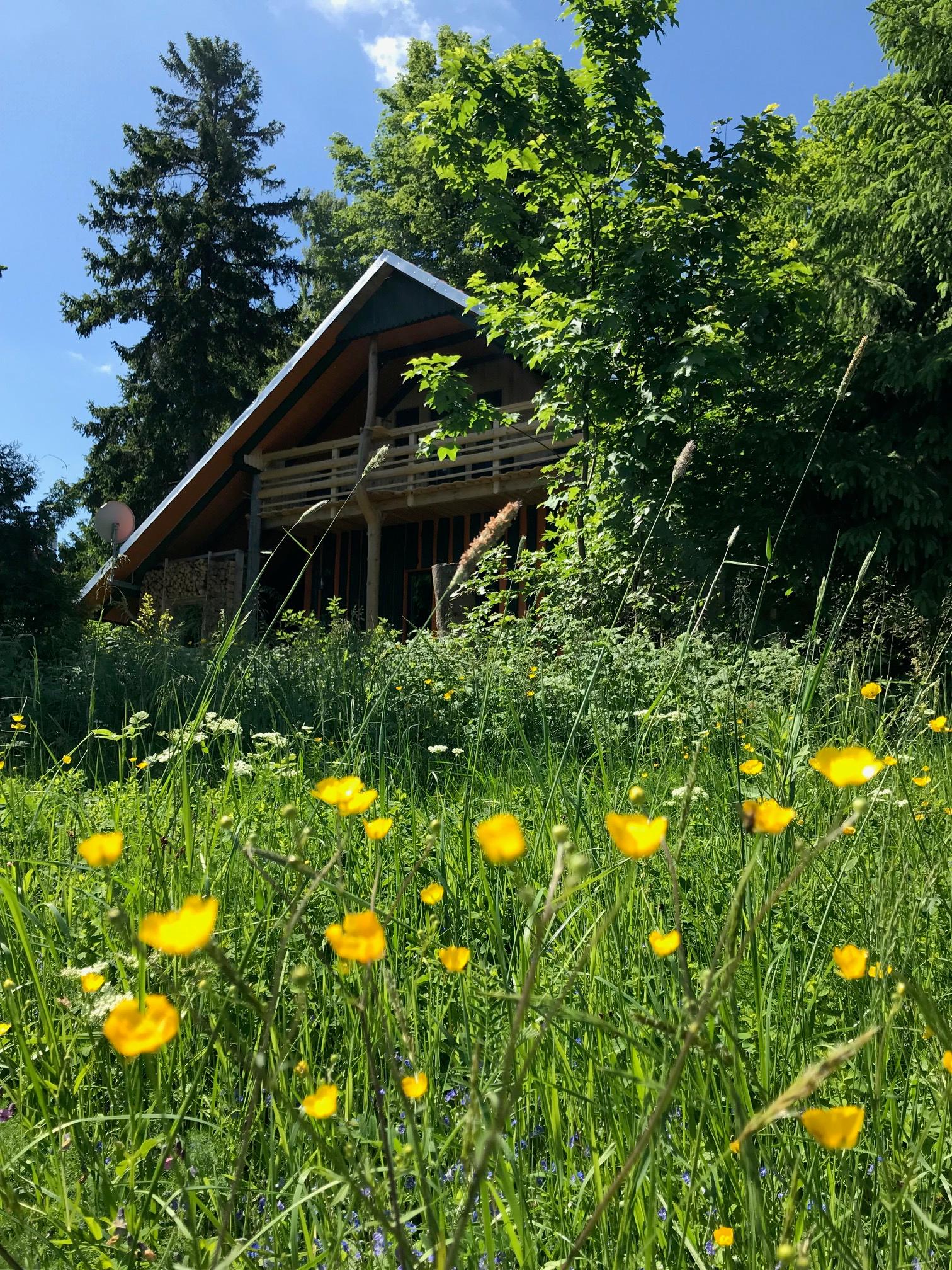 Nature house in Suhl OT Gehlberg