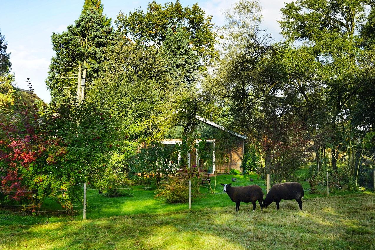 Nature house in Laren