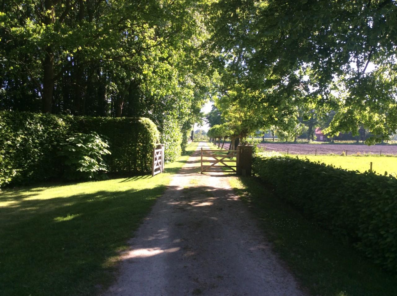 Natuurhuisje in Westerbeek