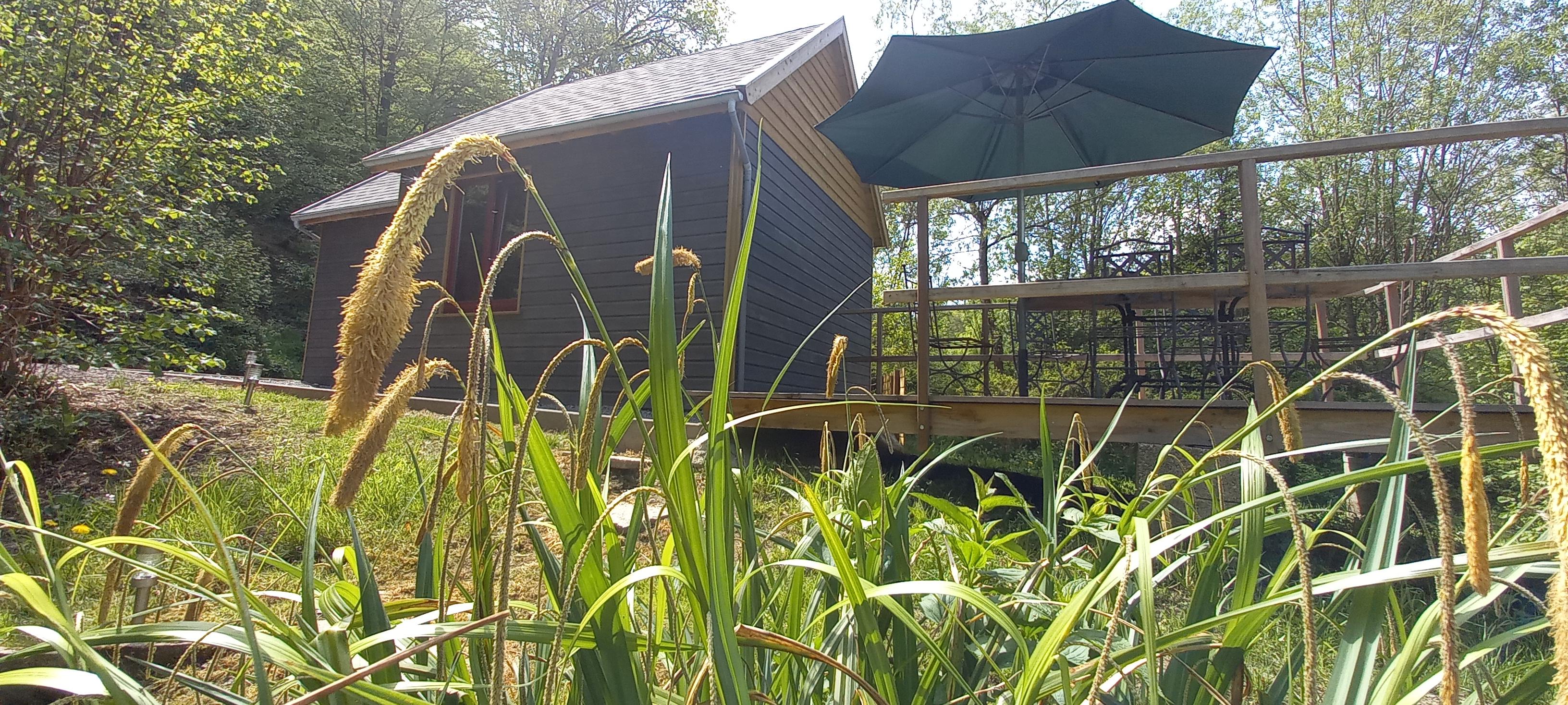 Nature house in La roche-en-ardenne