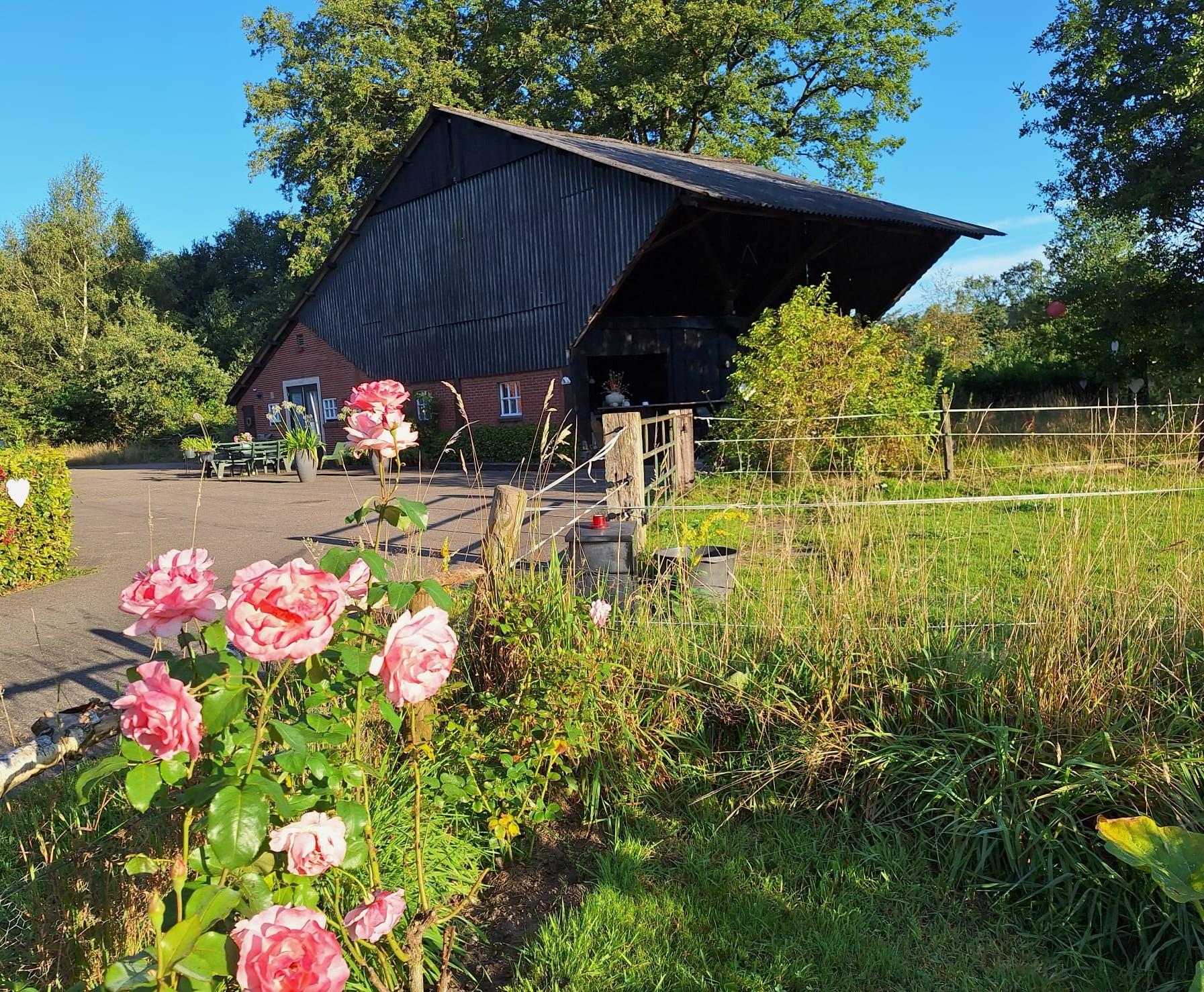 Nature house in Hengevelde