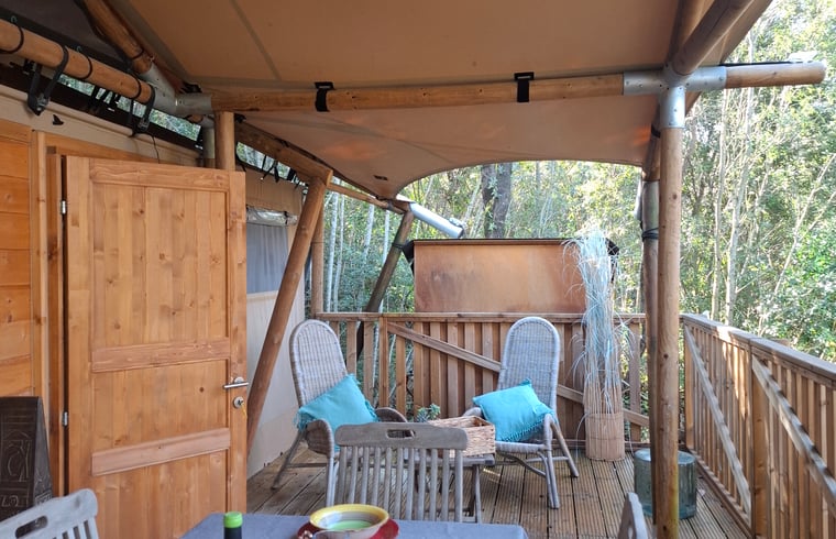 Safaritent in Monterotondo Marittimo — foto 2