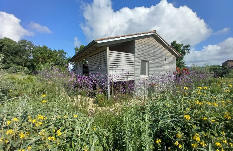 Natuurhuisje in casole d'elsa