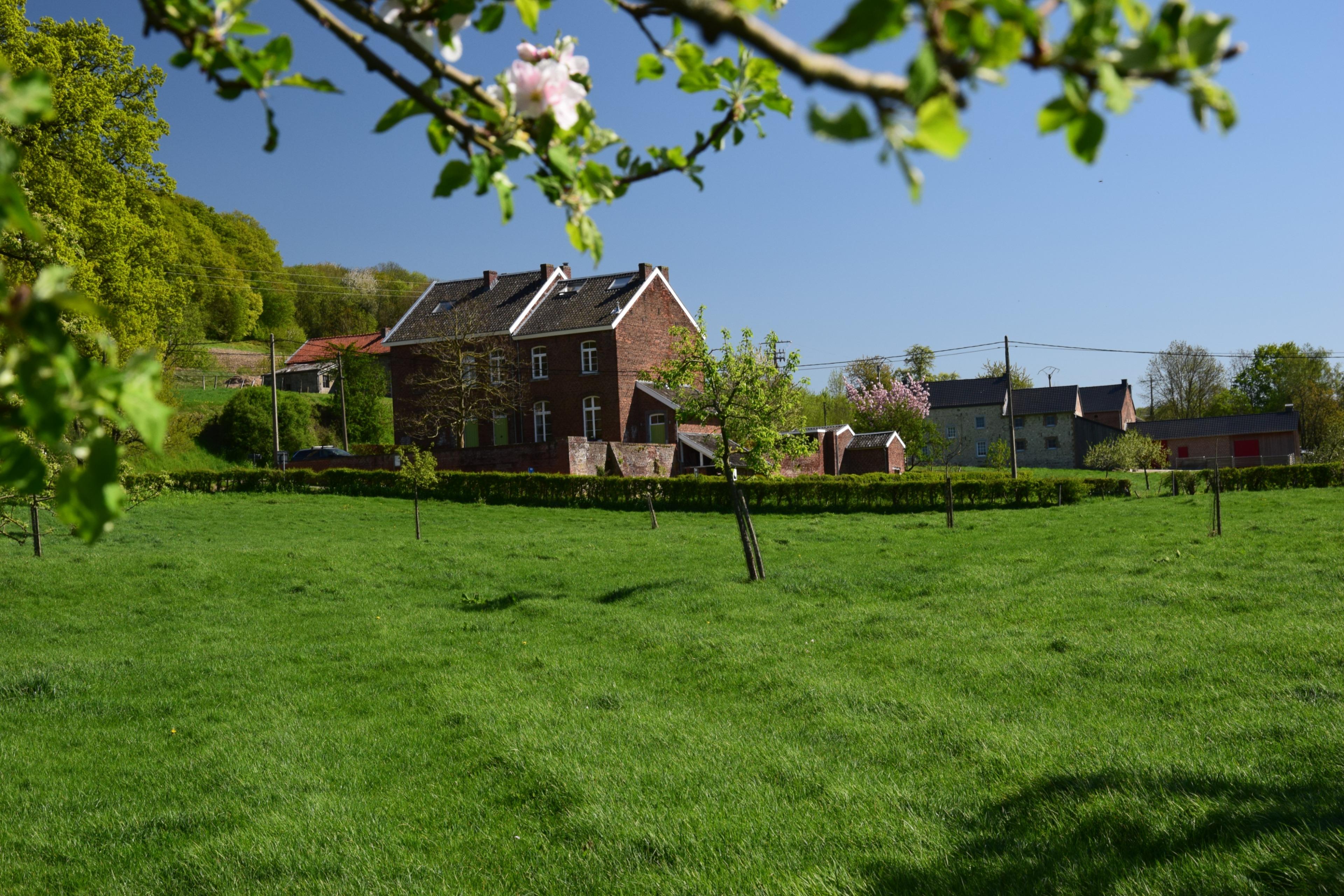 Maison nature à St.-Pieters-Voeren