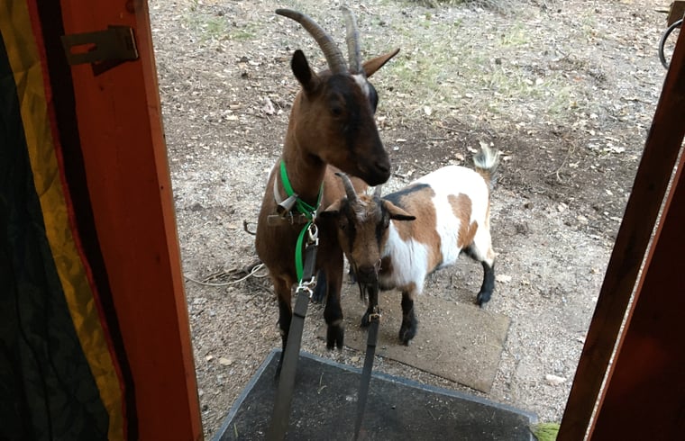 Yurt in FUVEAU — foto 2