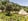 Nature house in Penalva do Castelo