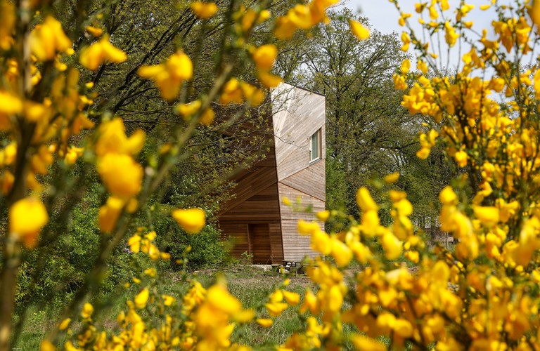 Natuurhuisje in Arnhem