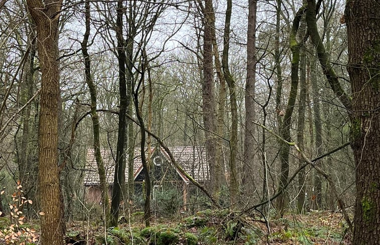 Natuurhuisje in Oude Willem