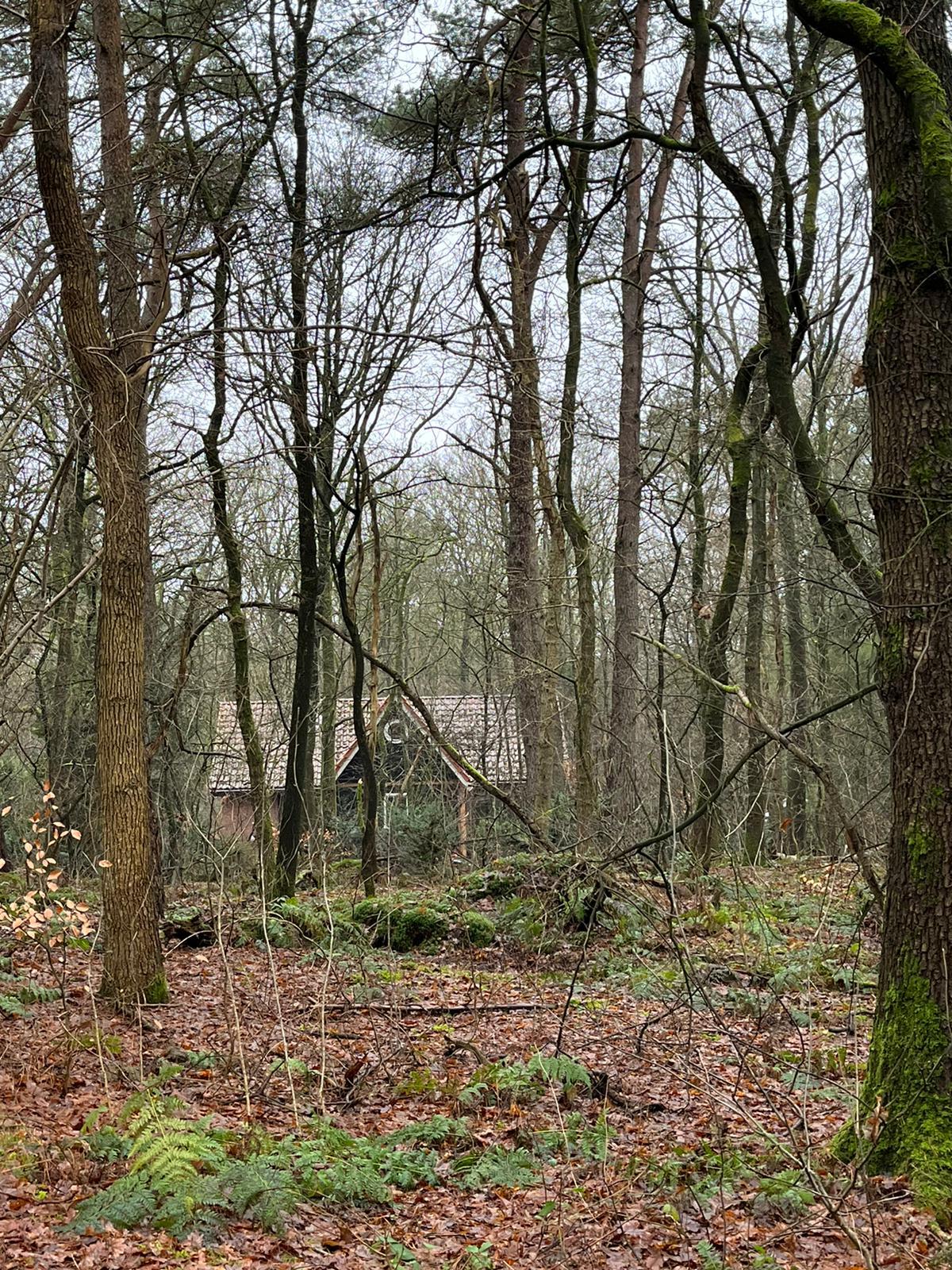Natuurhuisje in Oude Willem