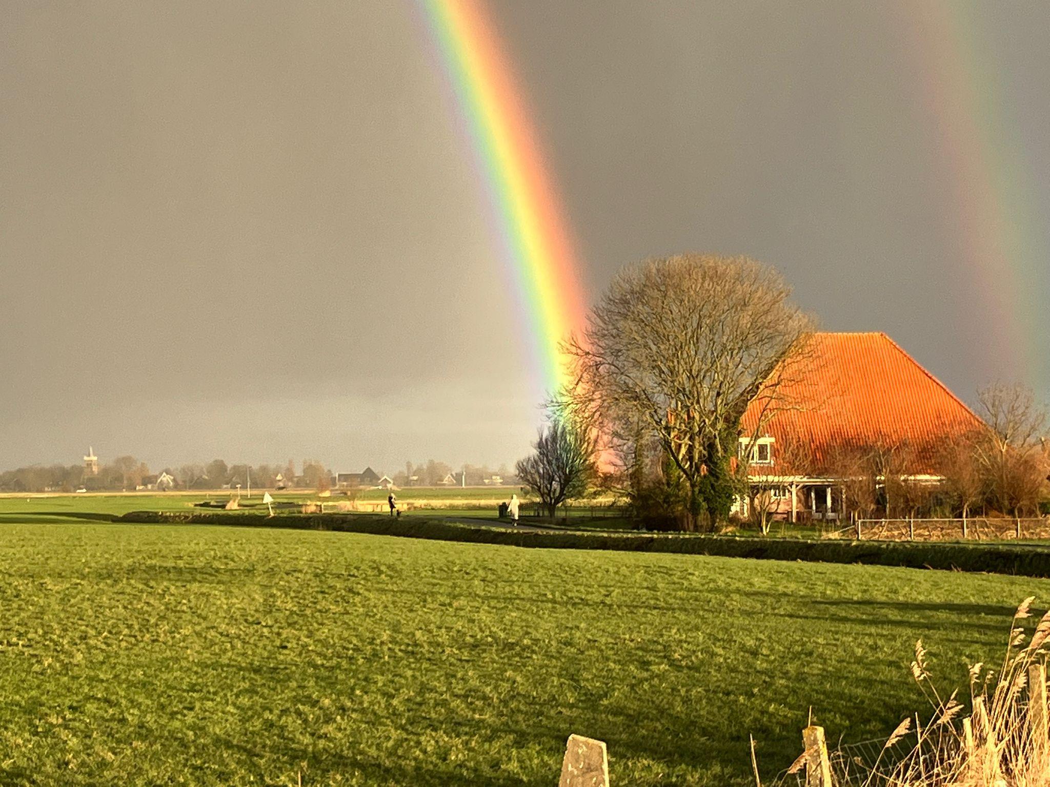 Casa nella natura a Haringhuizen