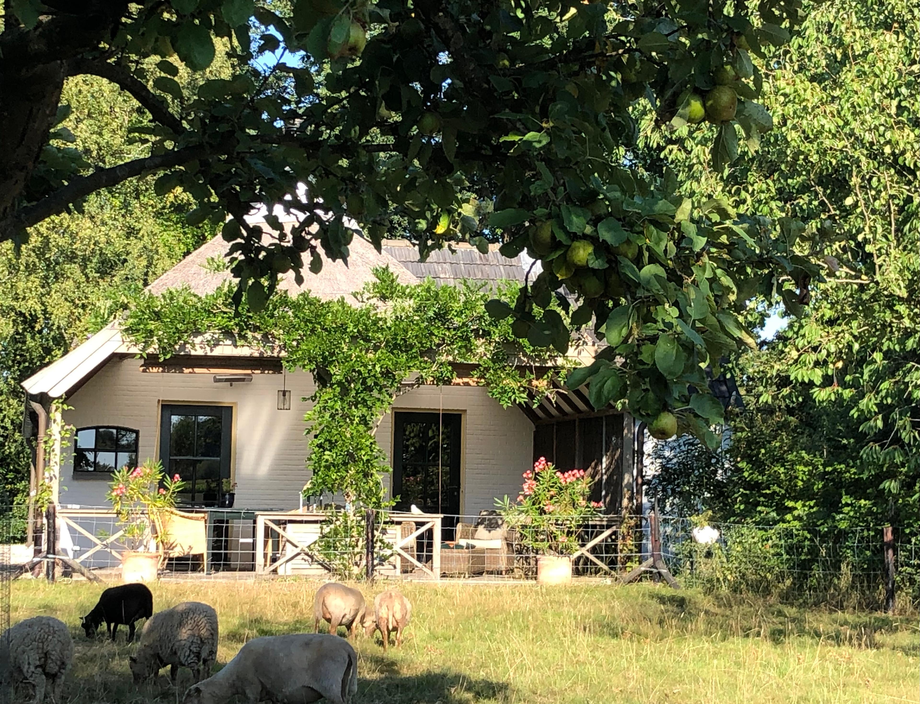 Maison nature à Empe