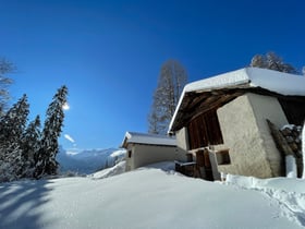 Natuurhuisje in Lohn