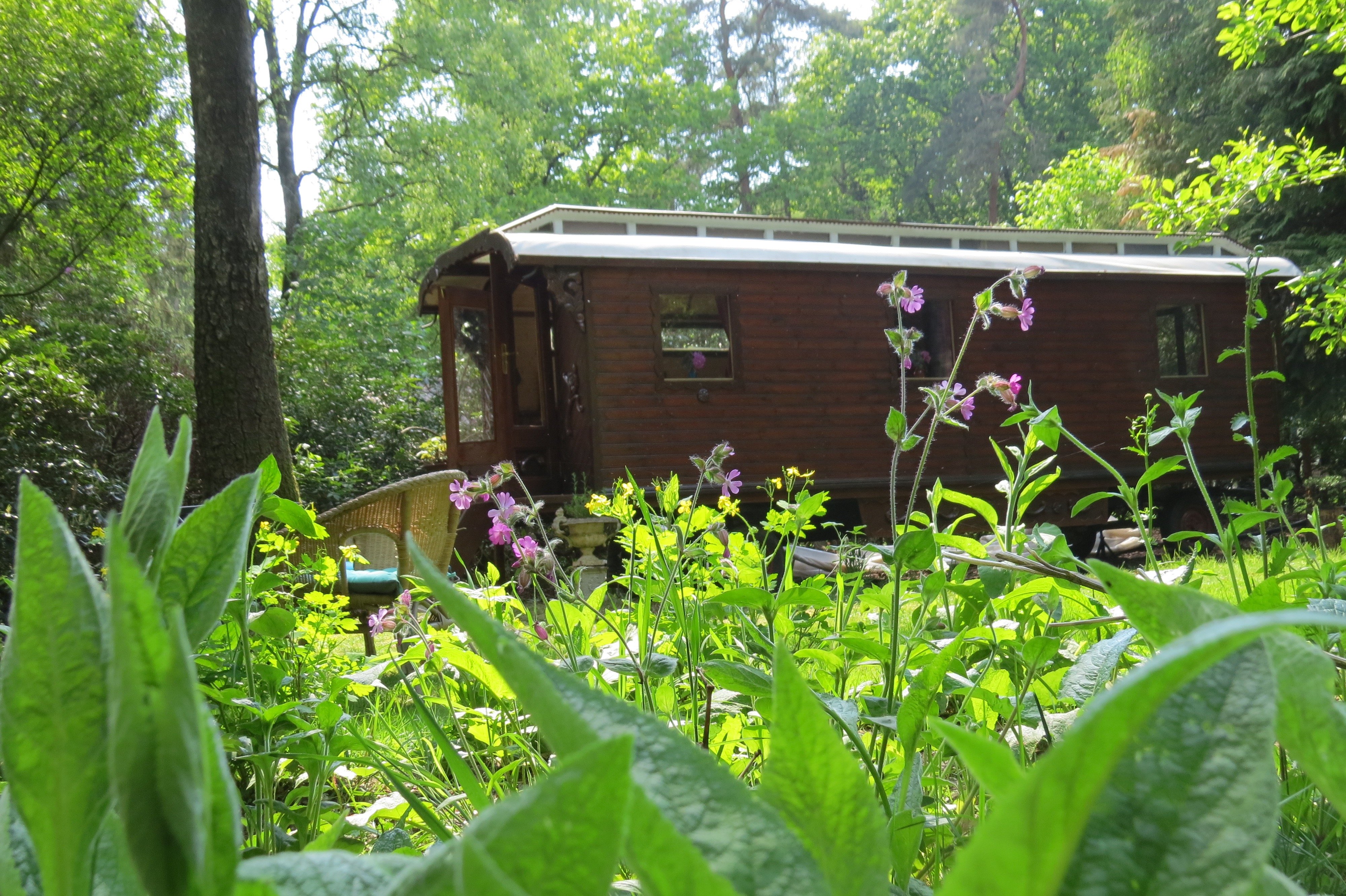 Natuurhuisje in Vorden