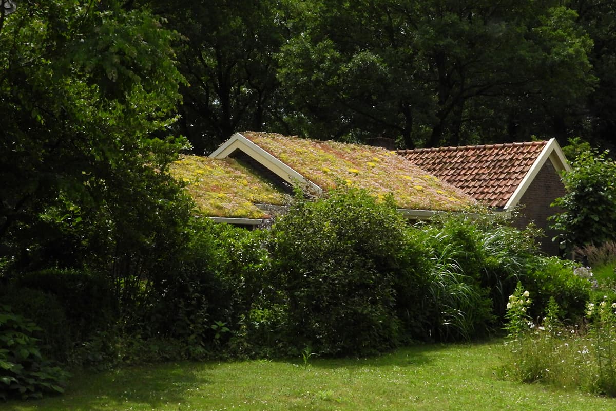 Nature house in Zuidwolde