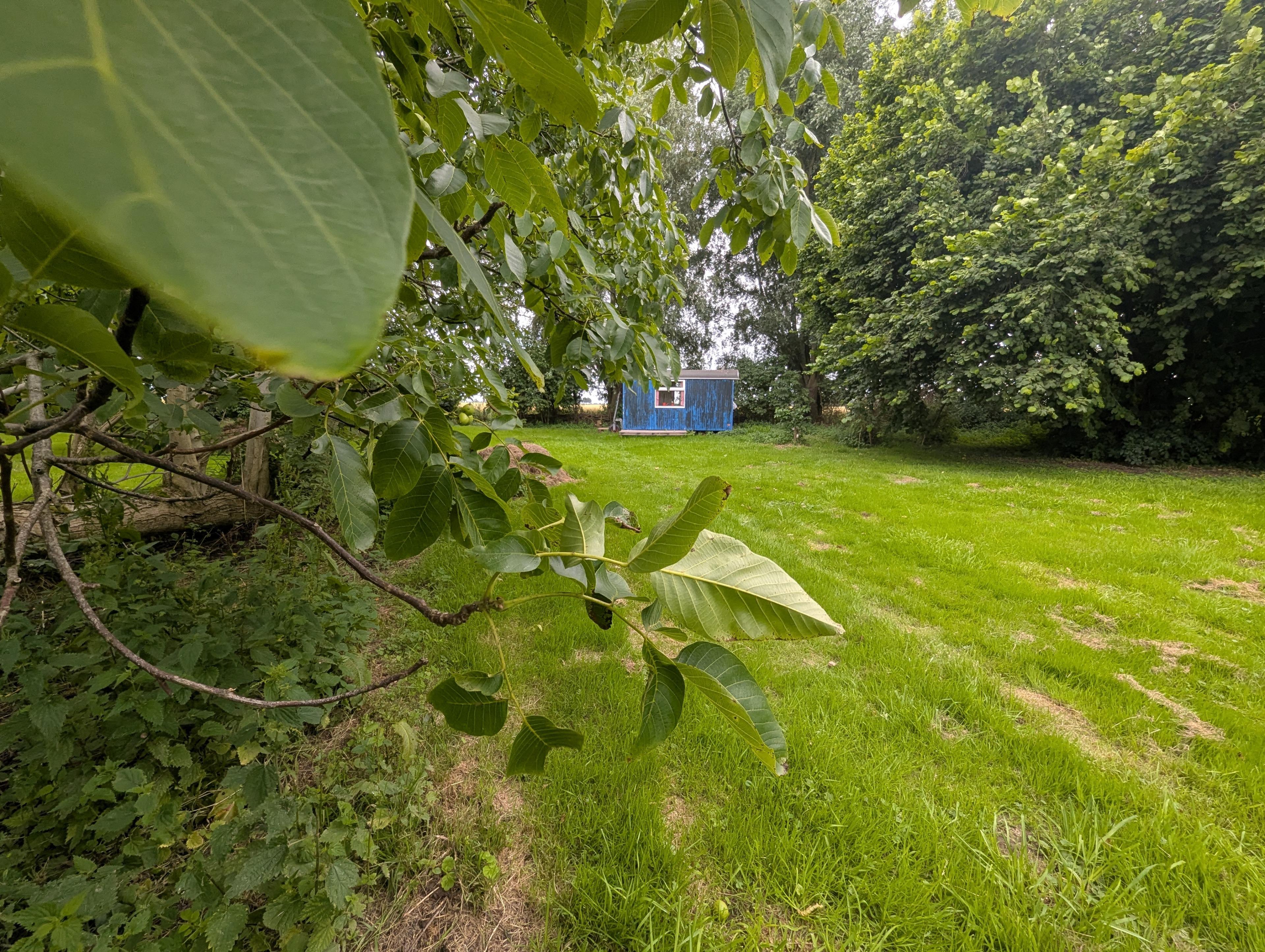 Maison nature à Warfhuizen