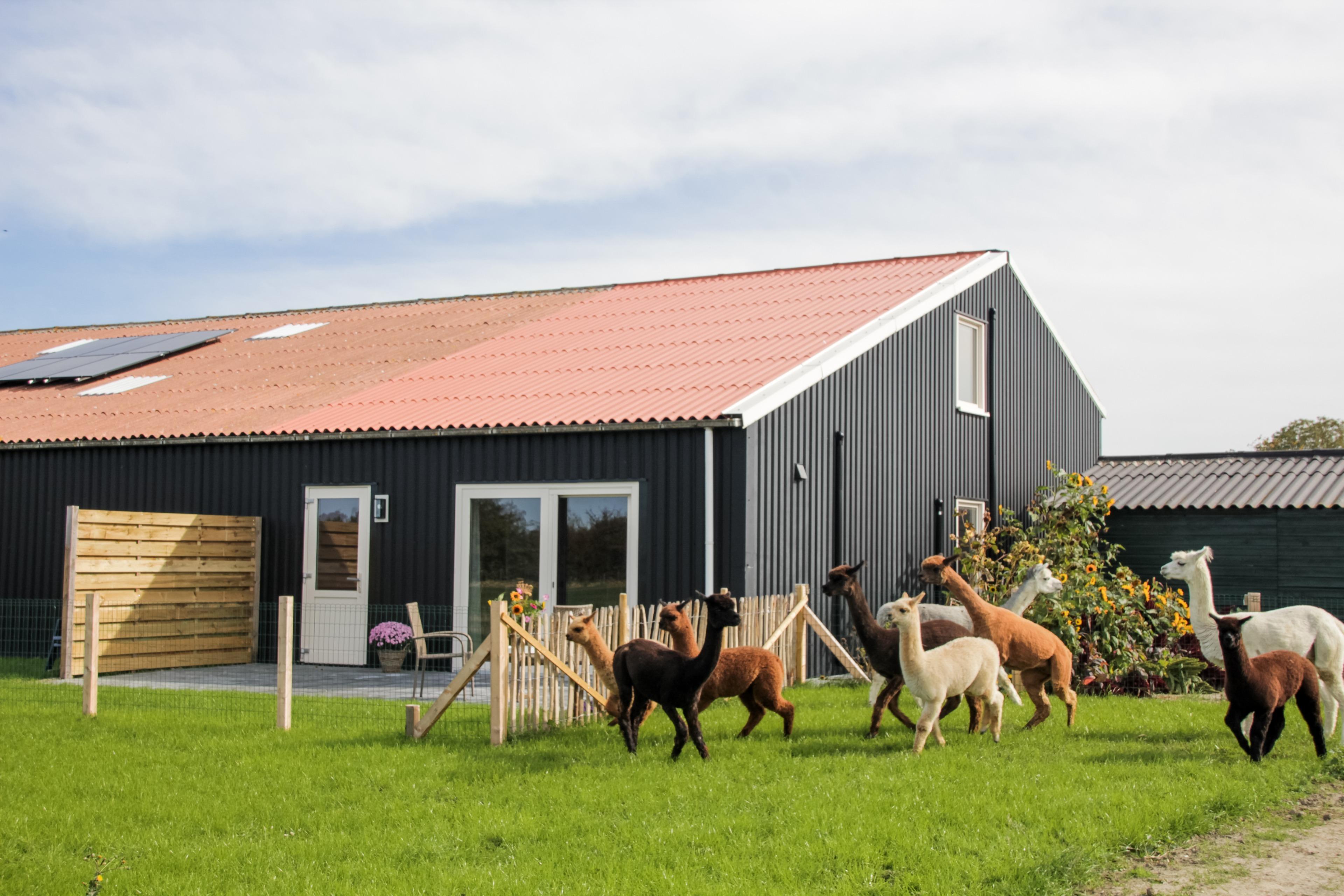 Casa nella natura a Ritthem