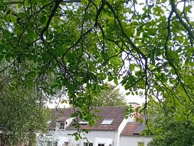 Maison nature à Herent