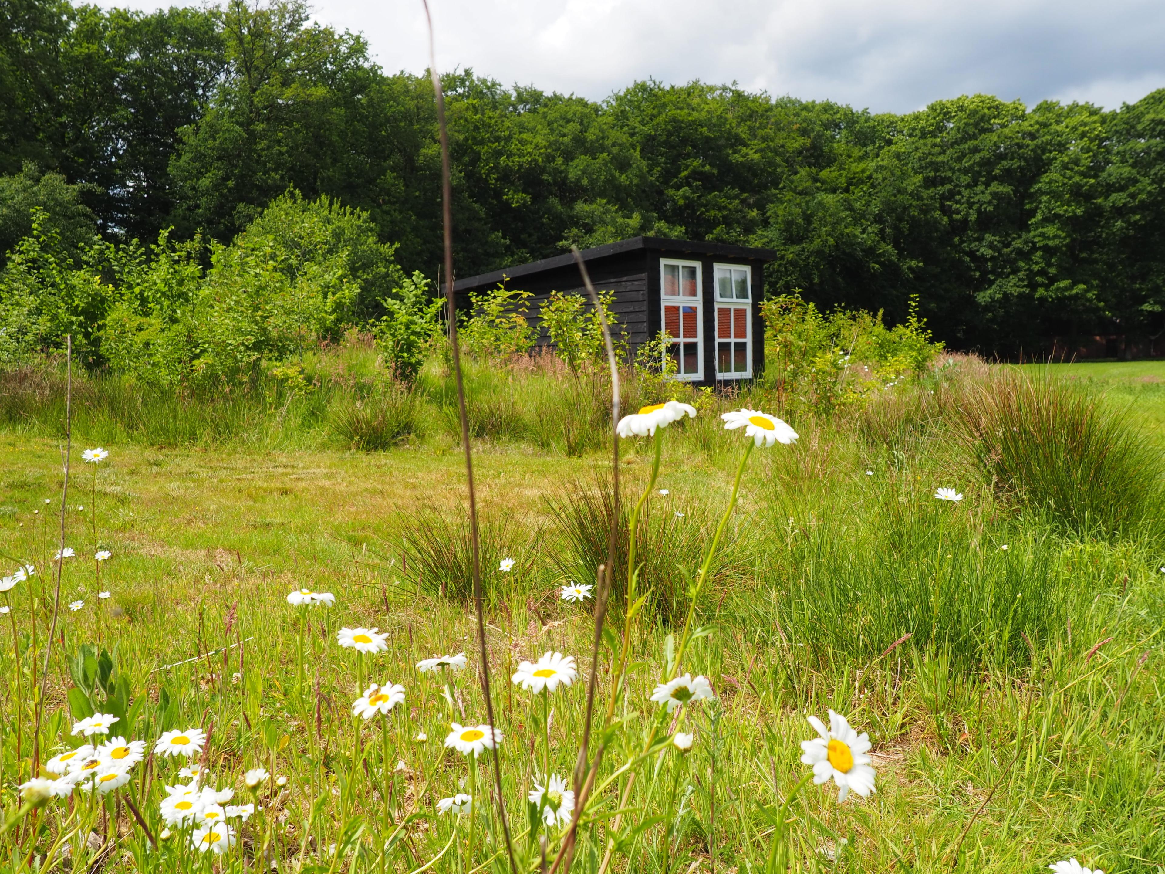 Maison nature à Hezingen
