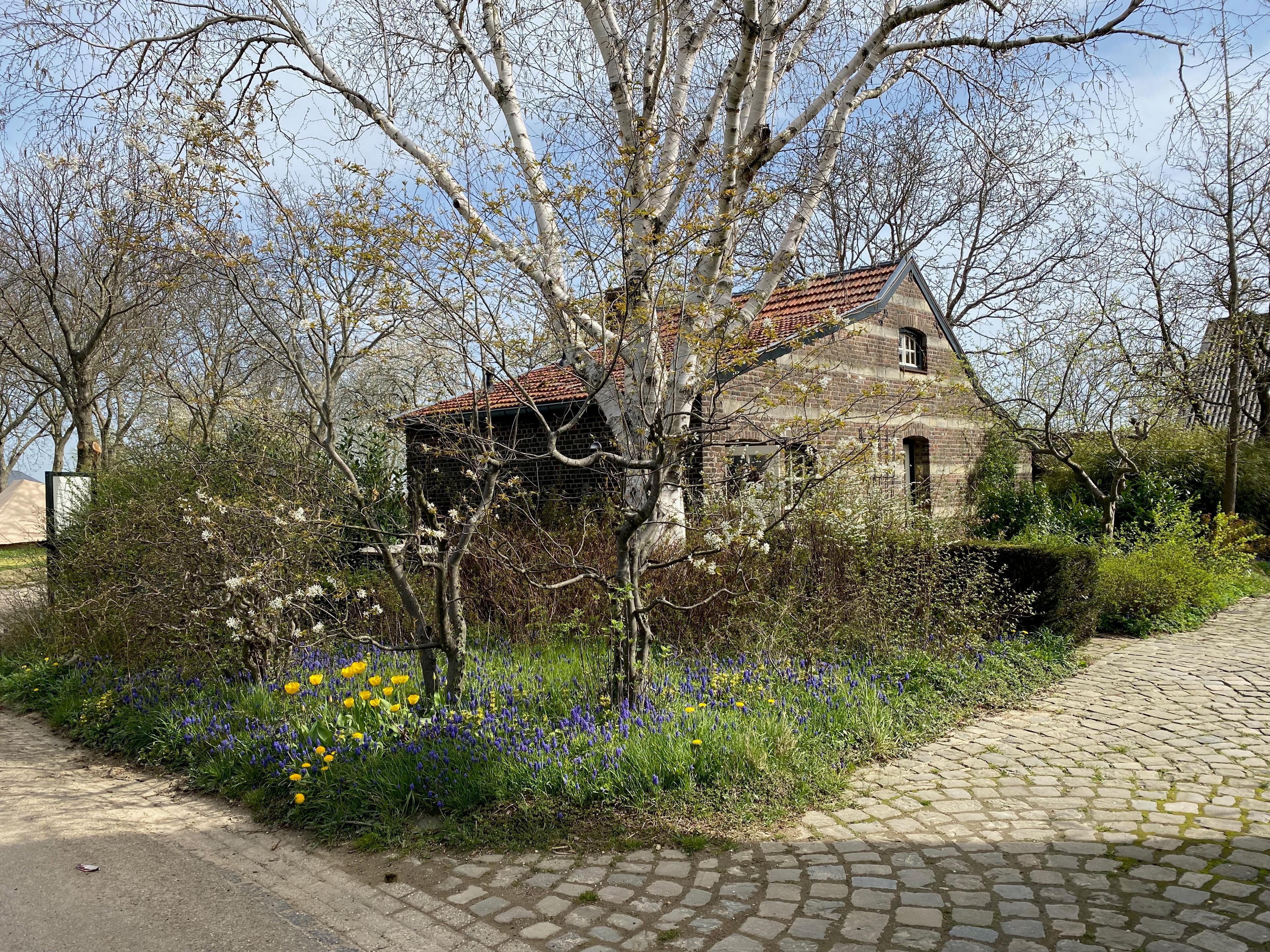 Maison nature à Wijlre