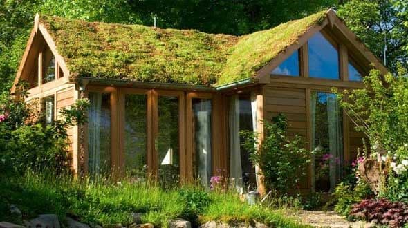Nature house in Veldhoven