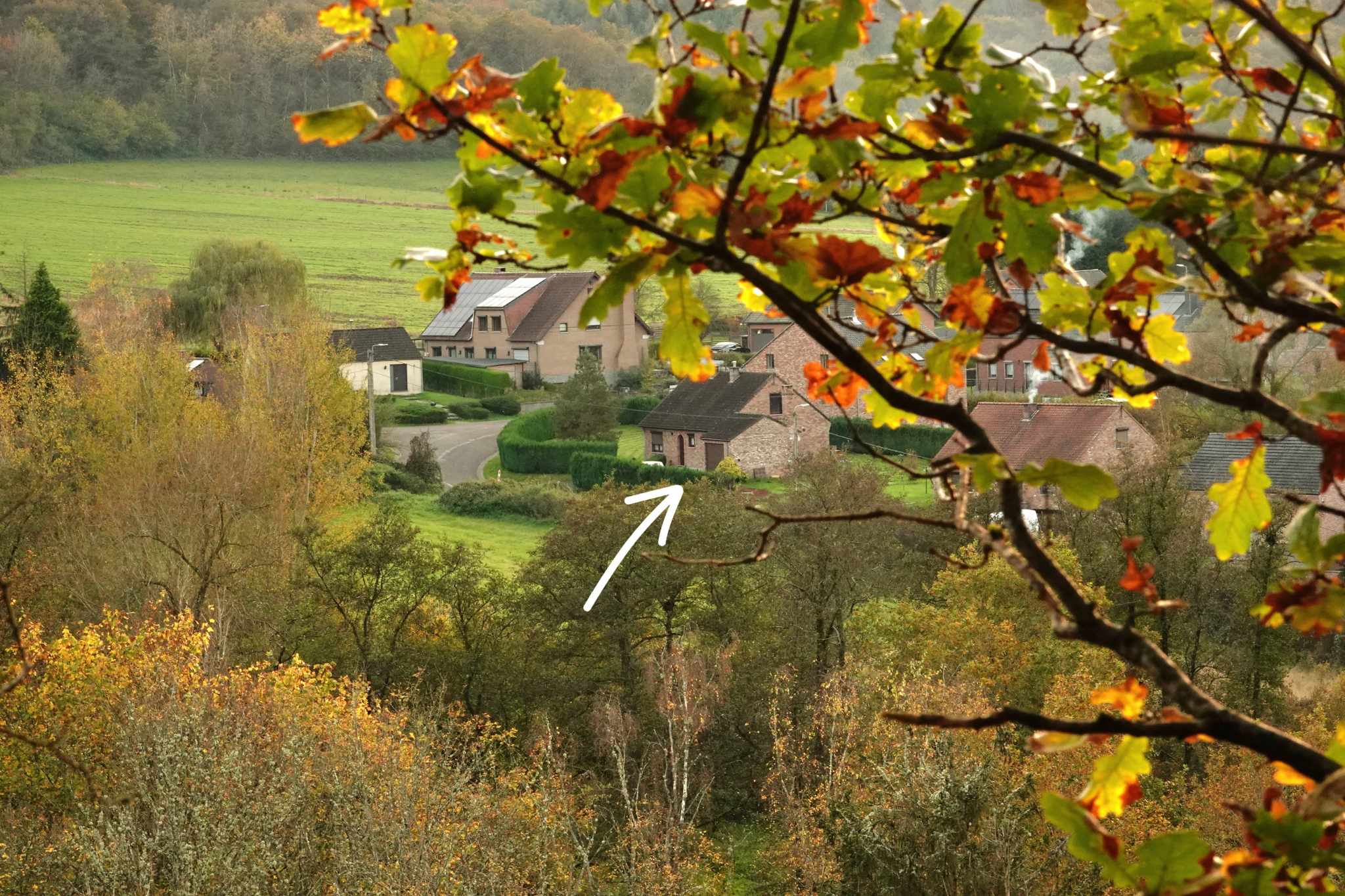 Maison nature à Olloy-sur-Viroin