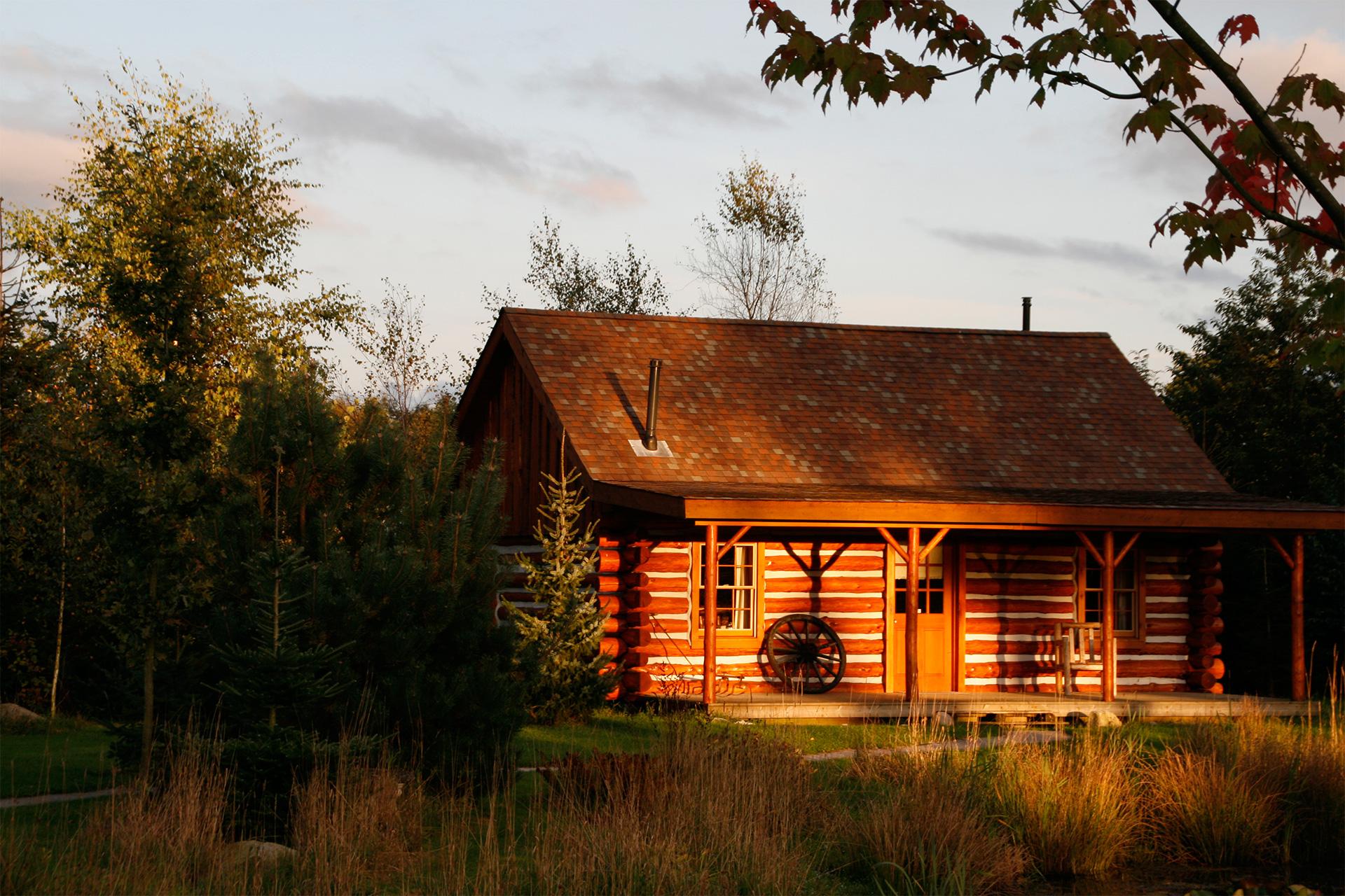 Nature house in Den Ham