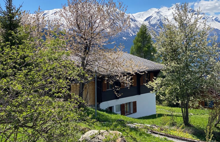 Chalet in Bellwald — foto 2