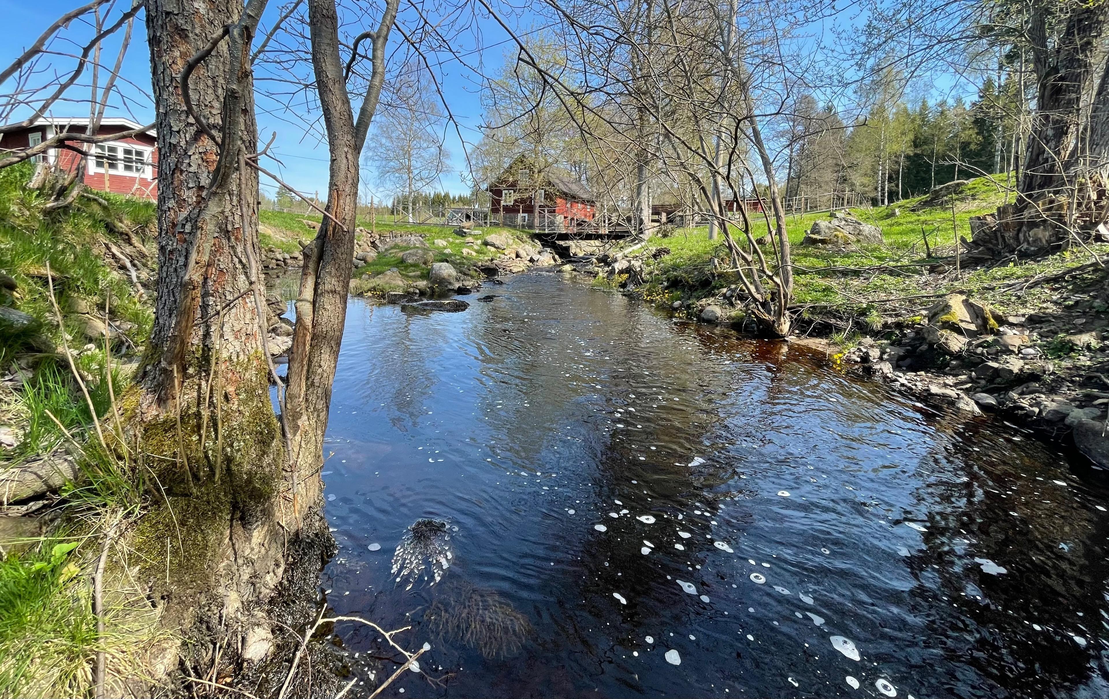 Nature house in Savsjo